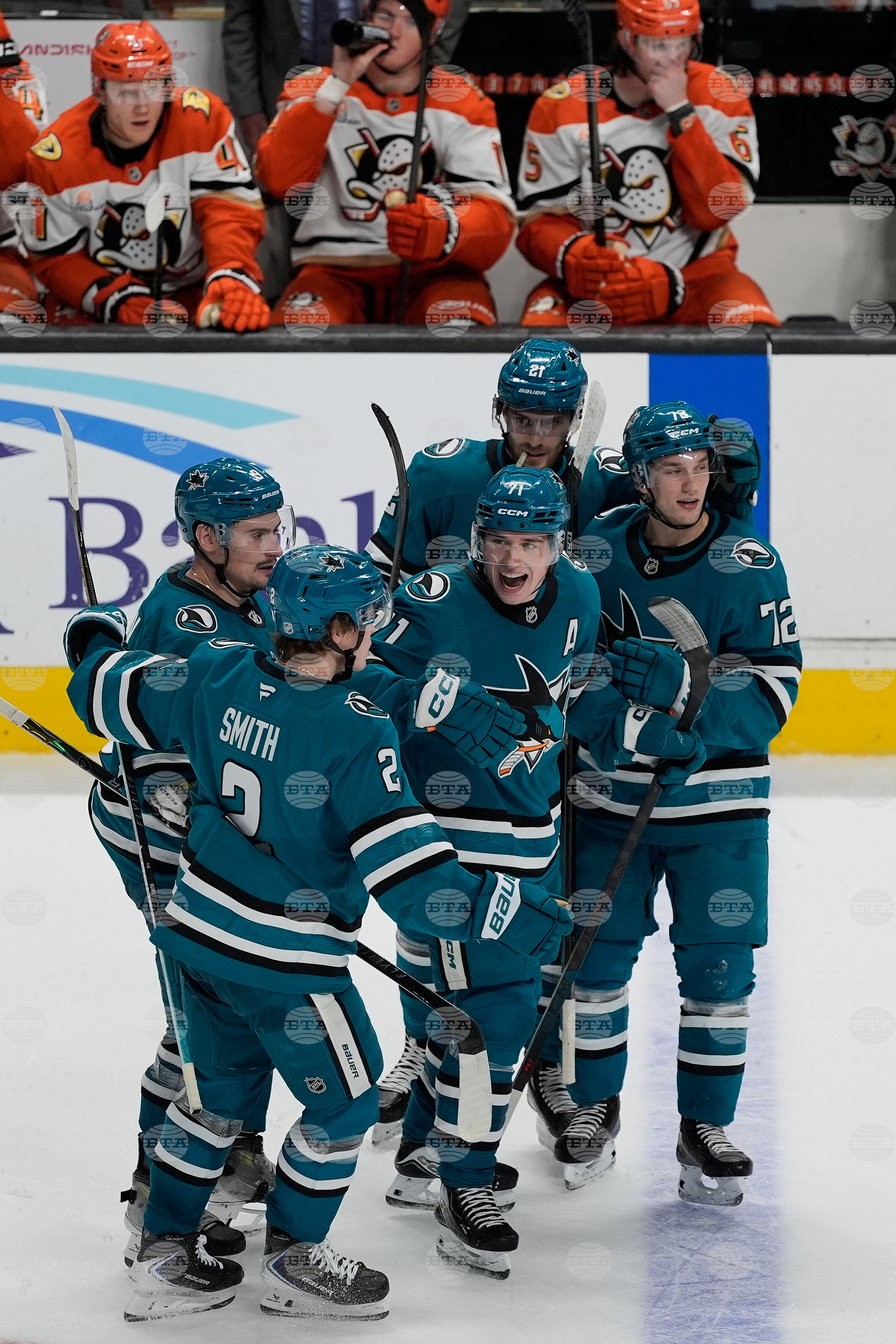 Ducks Sharks Hockey