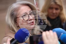 Ирена Георгиева - брифинг