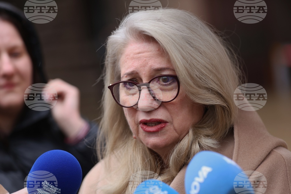 Ирена Георгиева - брифинг