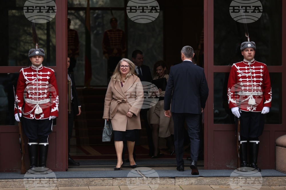 Ирена Георгиева - брифинг