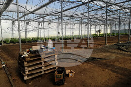 Бургас - Окръжна прокуратура - специализирана операция - марихуана