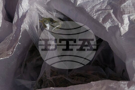 Бургас - Окръжна прокуратура - специализирана операция - марихуана