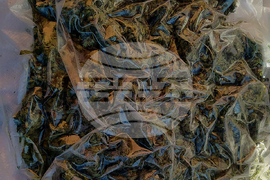 Бургас - Окръжна прокуратура - специализирана операция - марихуана