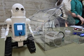 Пловдив - „Еко Визия Фест“ 2026