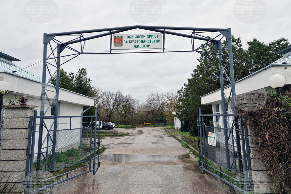 Село Могила - приют за безстопанствени животни - дарение