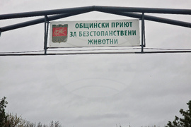 Село Могила - приют за безстопанствени животни - дарение