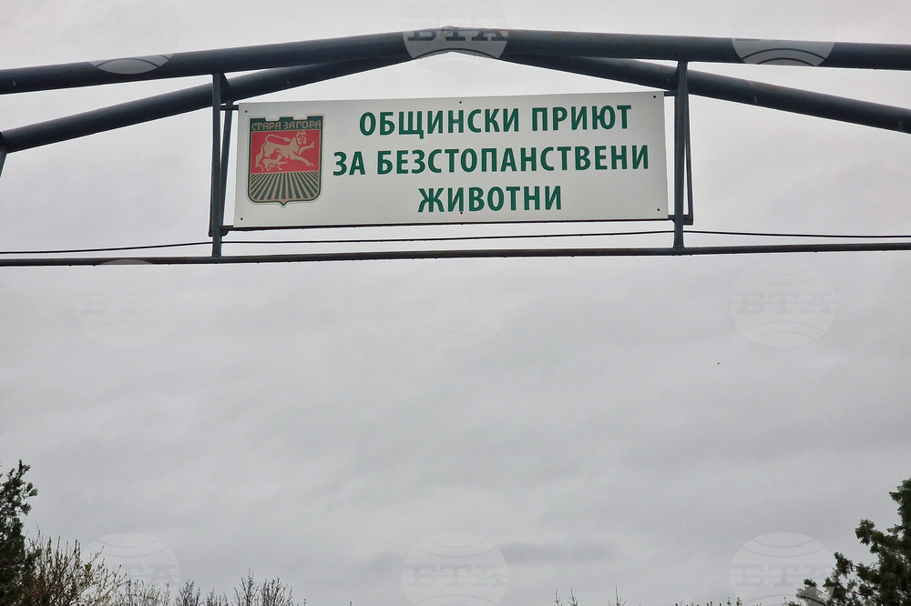 Село Могила - приют за безстопанствени животни - дарение