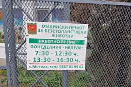 Село Могила - приют за безстопанствени животни - дарение