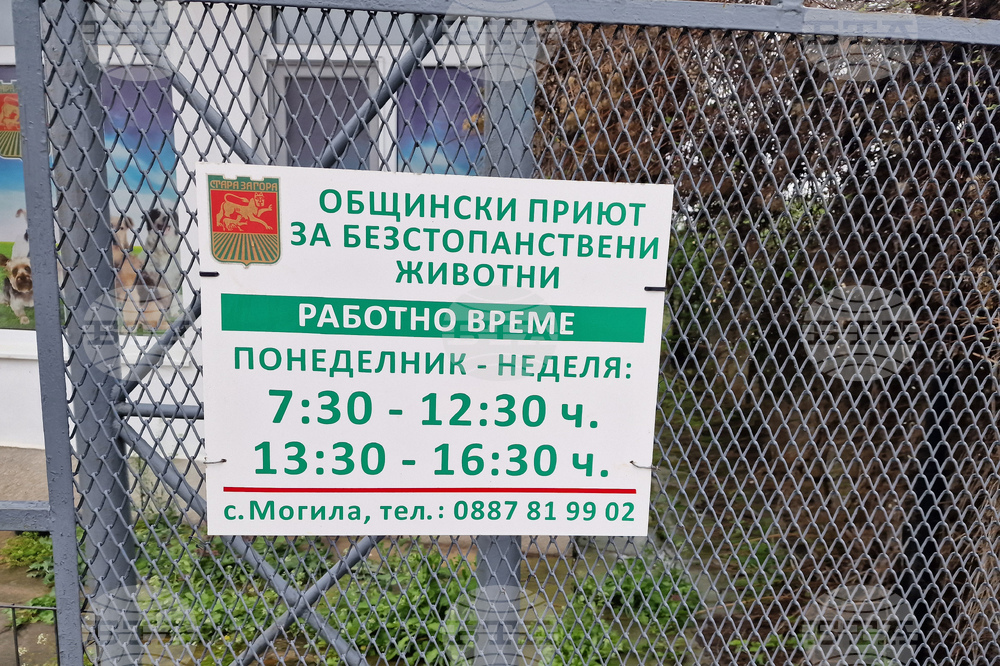 Село Могила - приют за безстопанствени животни - дарение