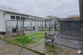 Село Могила - приют за безстопанствени животни - дарение