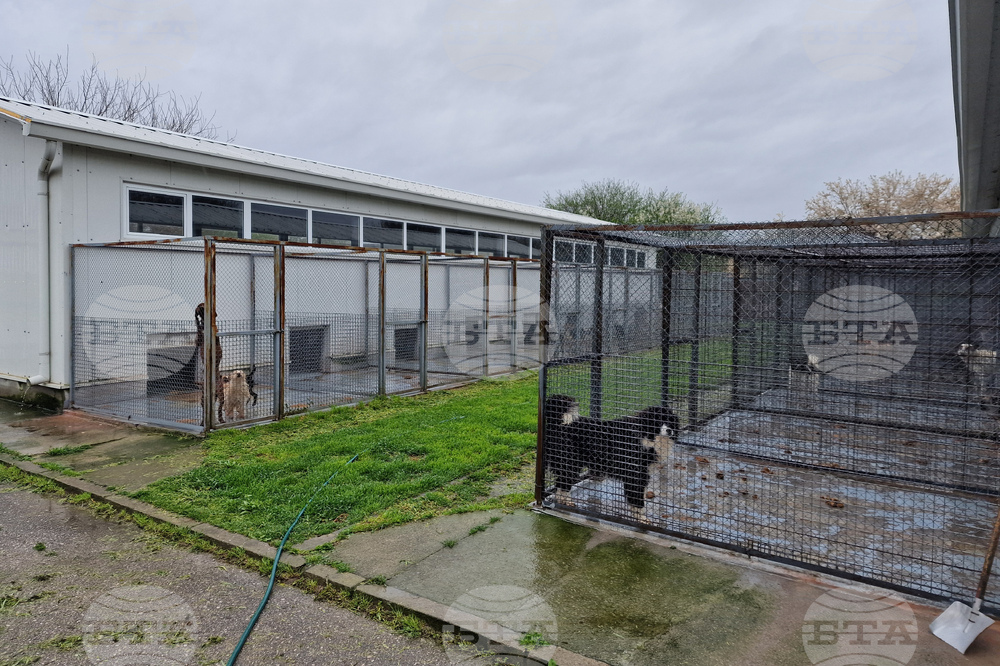 Село Могила - приют за безстопанствени животни - дарение