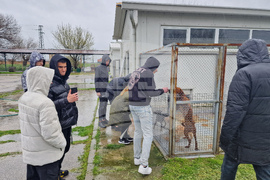 Село Могила - приют за безстопанствени животни - дарение