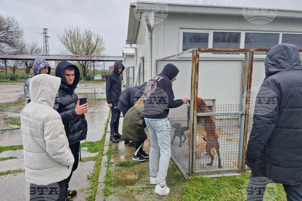 Село Могила - приют за безстопанствени животни - дарение