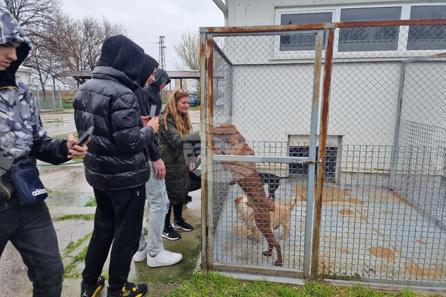 Село Могила - приют за безстопанствени животни - дарение