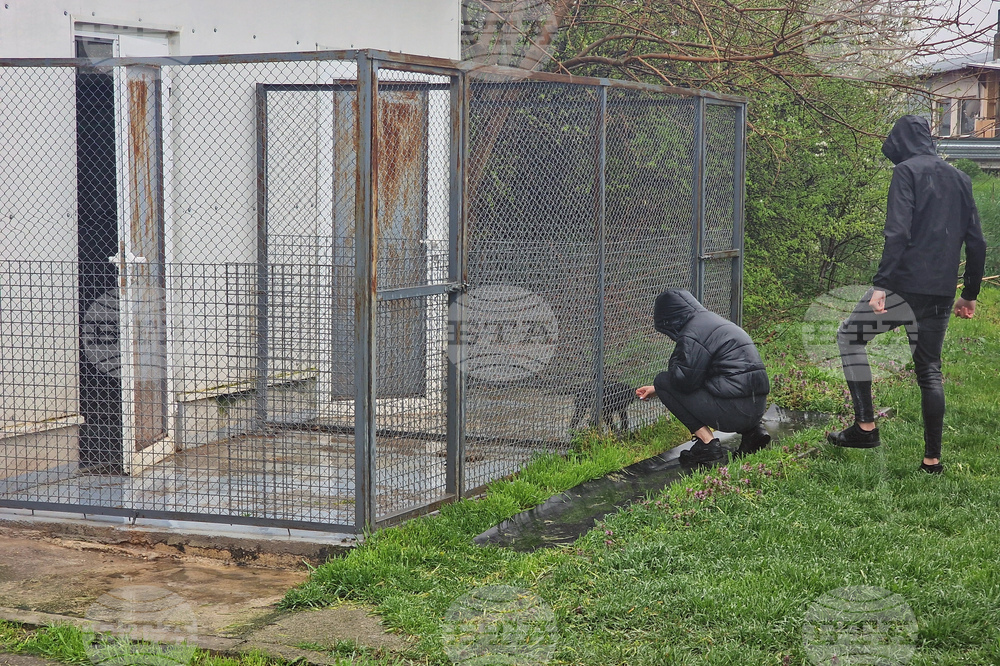 Село Могила - приют за безстопанствени животни - дарение