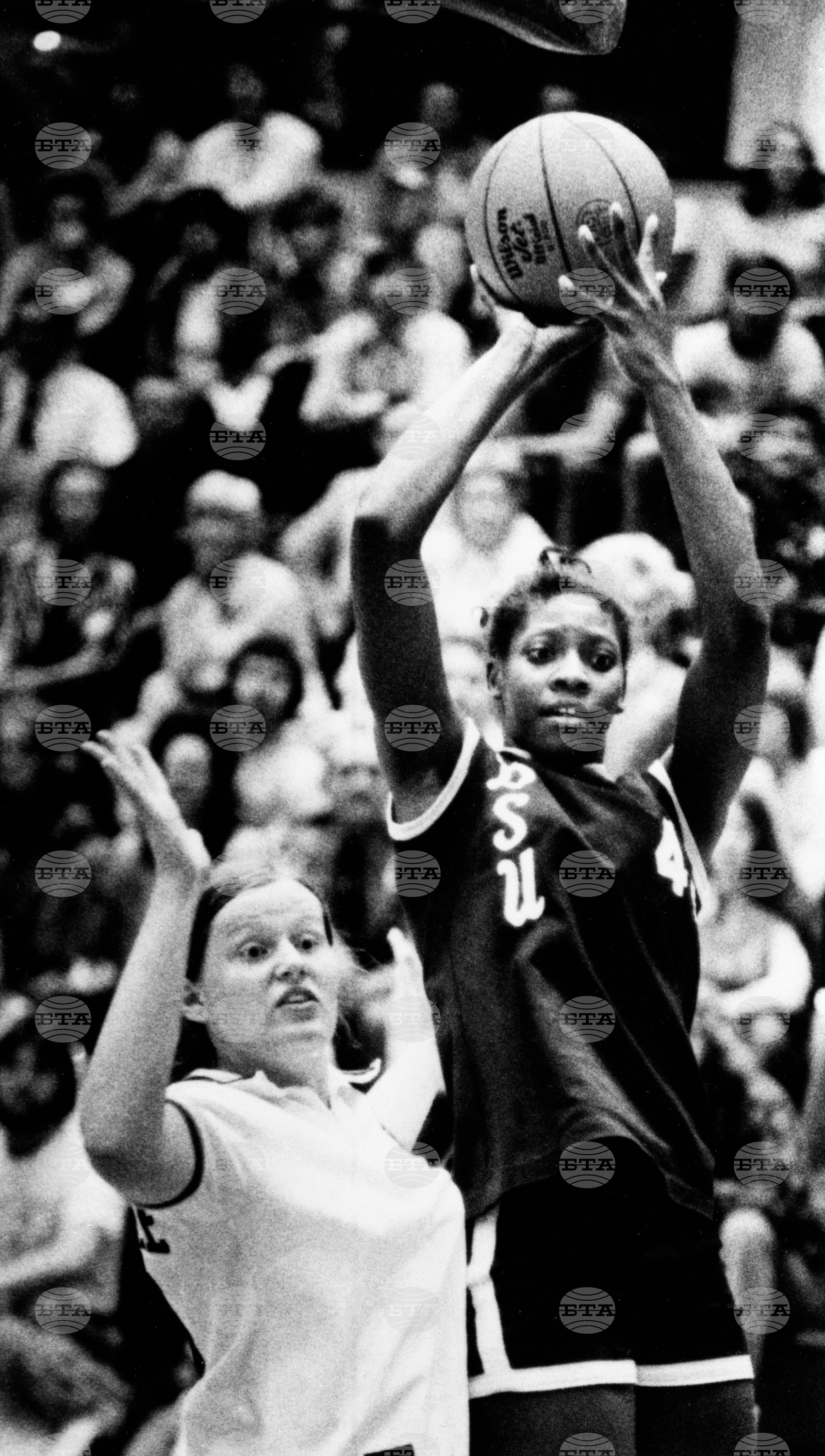 Poll at 50 Delta State