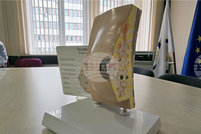 Кърджали - „Училище за женско здраве и бъдещи родители“