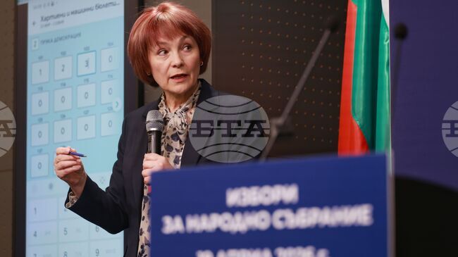 Germany Limits Polling Station Locations to 40, Says CEC Spokesperson 