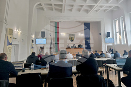 Петрич - Общински съвет - редовно заседание