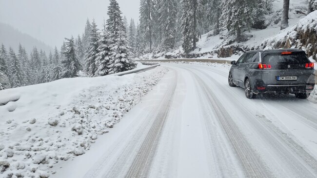 Движението по пътя Рудозем – Смилян се осъществява в едната лента заради паднали камъни