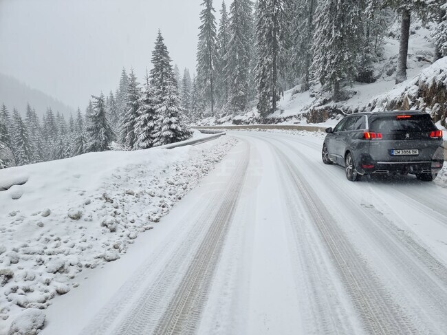 Движението по пътя Рудозем – Смилян се осъществява в едната лента заради паднали камъни