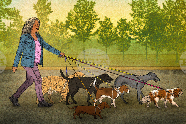 US-Be Well-Working Well-Retiree Gig Work