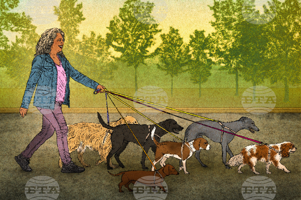 US-Be Well-Working Well-Retiree Gig Work