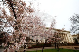 Национална библиотека „Св. св. Кирил и Методий“ - пролетно тържество