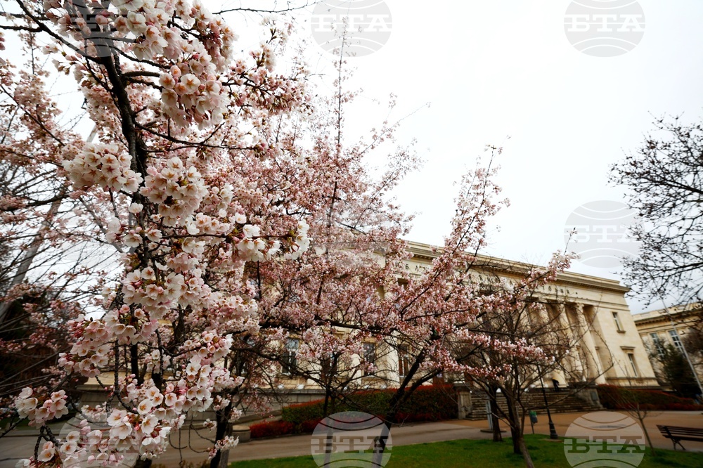 Национална библиотека „Св. св. Кирил и Методий“ - пролетно тържество