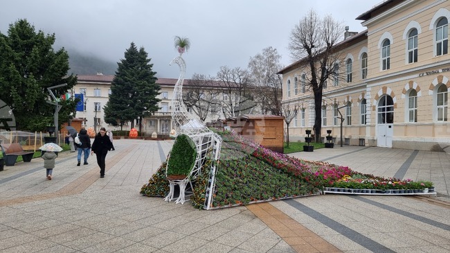 Враца ще отбележи Лазаровден и Цветница на площада пред сградата на общината