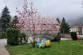 Враца - Великден - украса