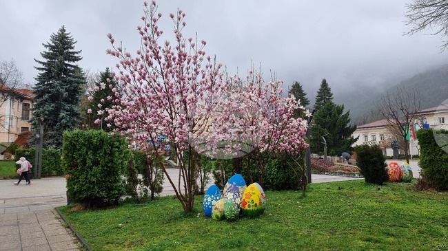 Какви прояви имаха днес кандидатите за народни представители в 6-и МИР - Враца