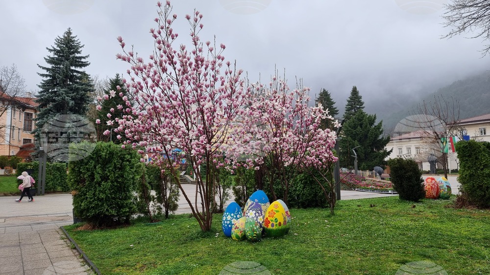 Враца - Великден - украса