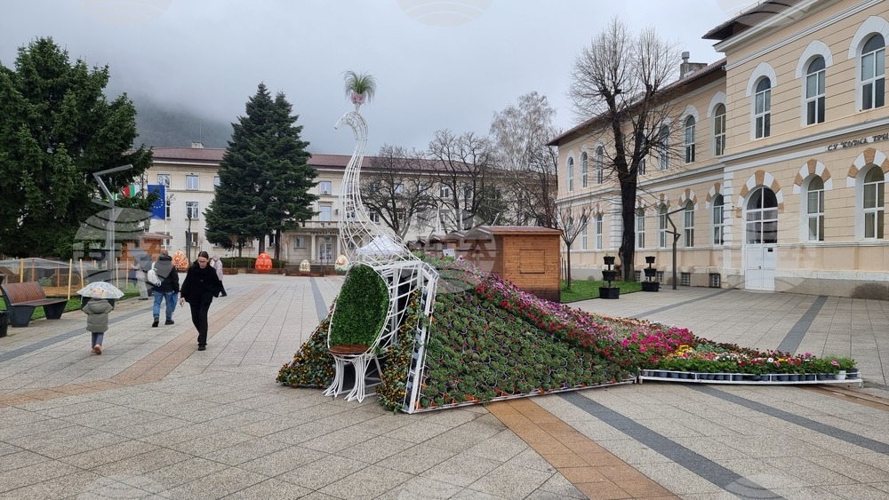 Враца - Великден - украса
