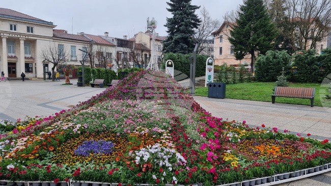 Над 500 деца и ученици ще участват в цветен пролетен карнавал във Враца