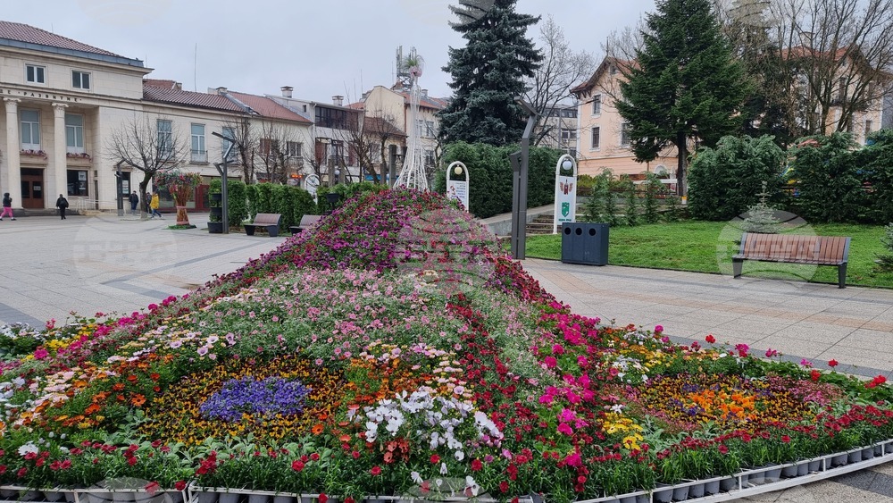 Враца - Великден - украса