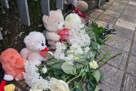 Добрич - болница - бдение