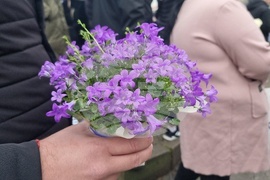 Добрич - болница - бдение