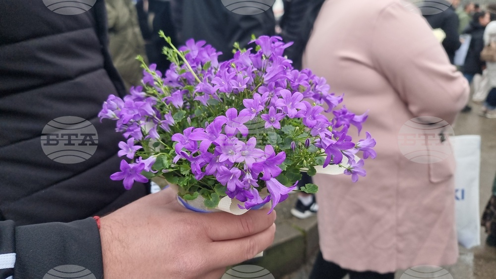 Добрич - болница - бдение