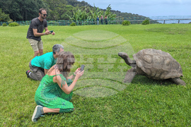 Britain World's Oldest-Tortoise