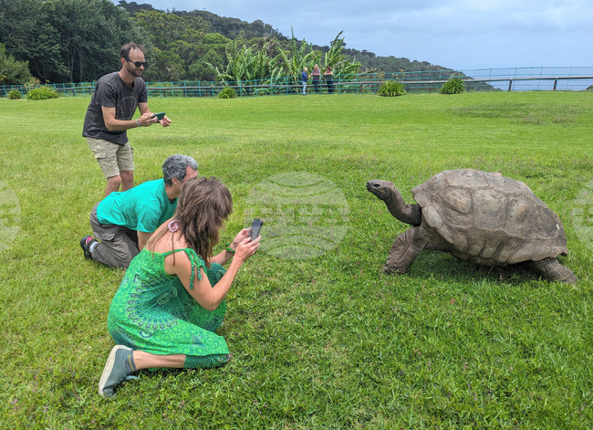 Britain World's Oldest-Tortoise