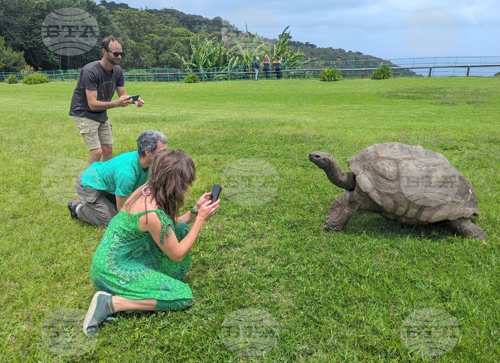 Britain World's Oldest-Tortoise