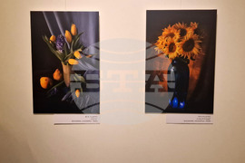 Разград - изложба - Съюз на разградските художници