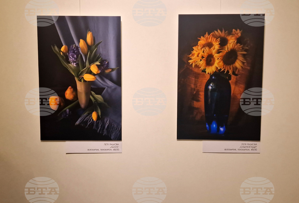 Разград - изложба - Съюз на разградските художници