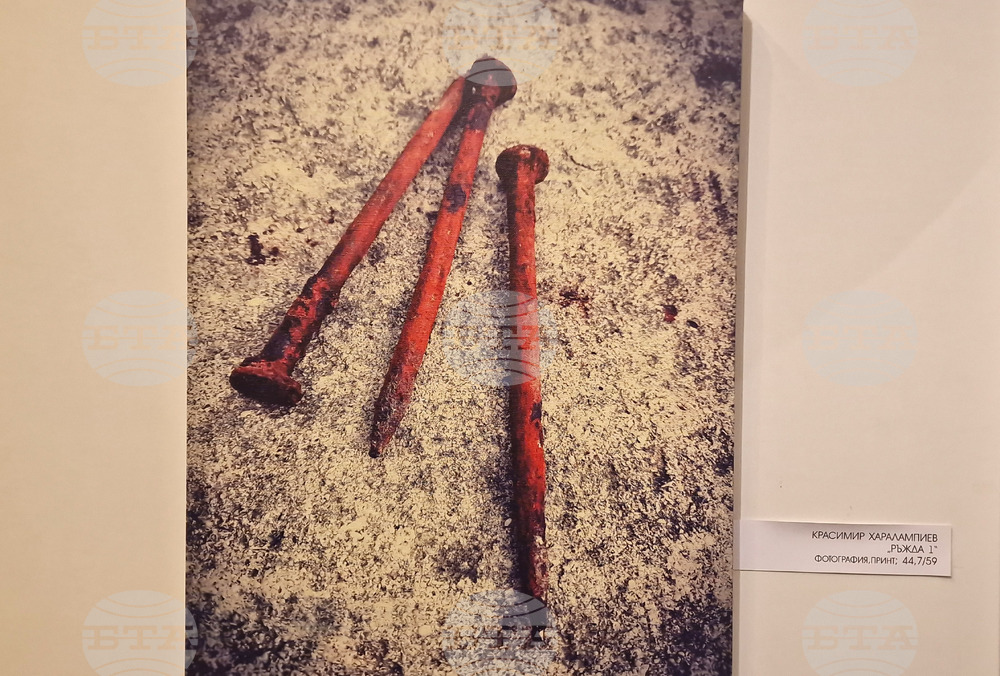 Разград - изложба - Съюз на разградските художници