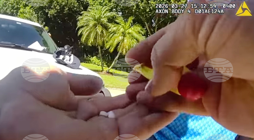 Tiger Woods Crash Golf