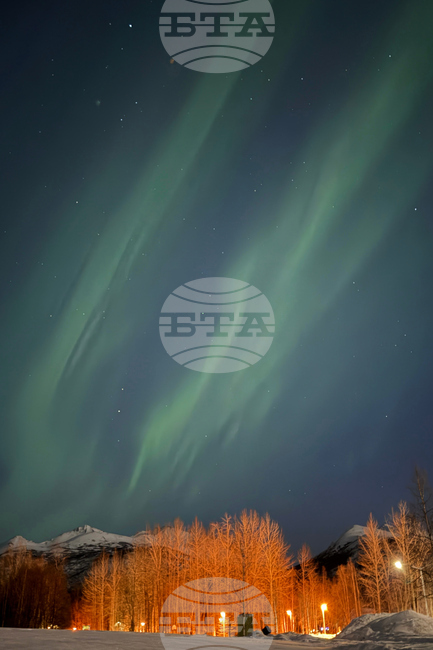Alaska Aurora