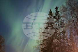 Alaska Aurora