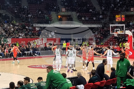 Баскетбол - Евролига - Апоел Тел Авив - Панатинайкос