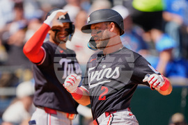 Twins Royals Baseball